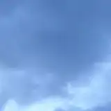 やこう