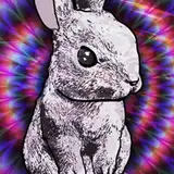 hypnobunny69